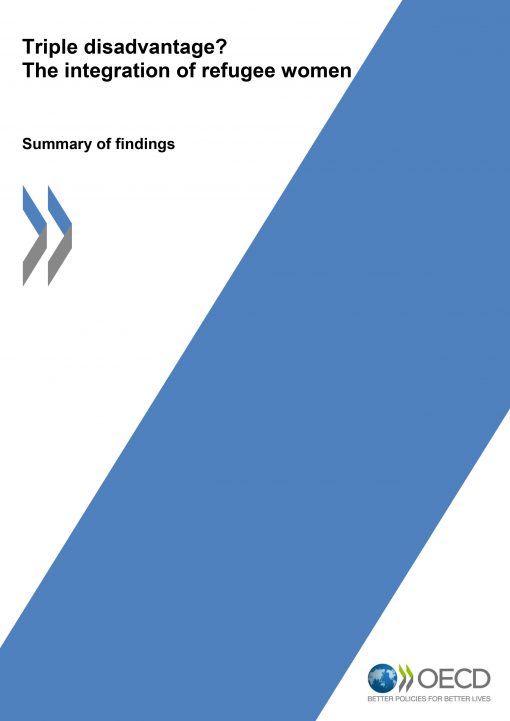 Rapportomslag i vitt med ett tjockt blått diagonalt streck