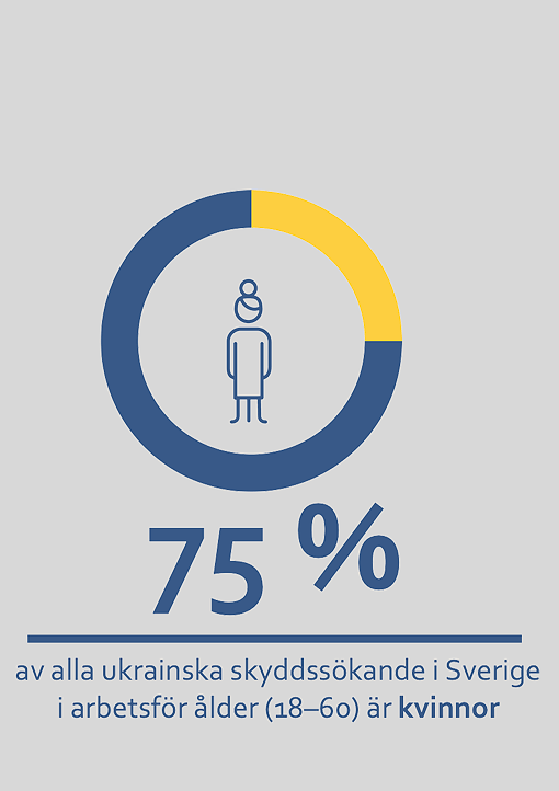 75 % av alla ukrainska skyddssökande i Sverige i arbetsför ålder (18–60) är kvinnor
