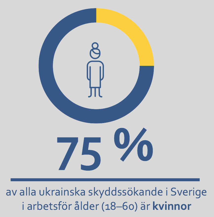 76 % av alla ukrainska skyddssökande i Finland i arbetsför ålder (18–60) är kvinnor