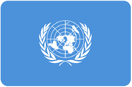 fn FLAG UN.png