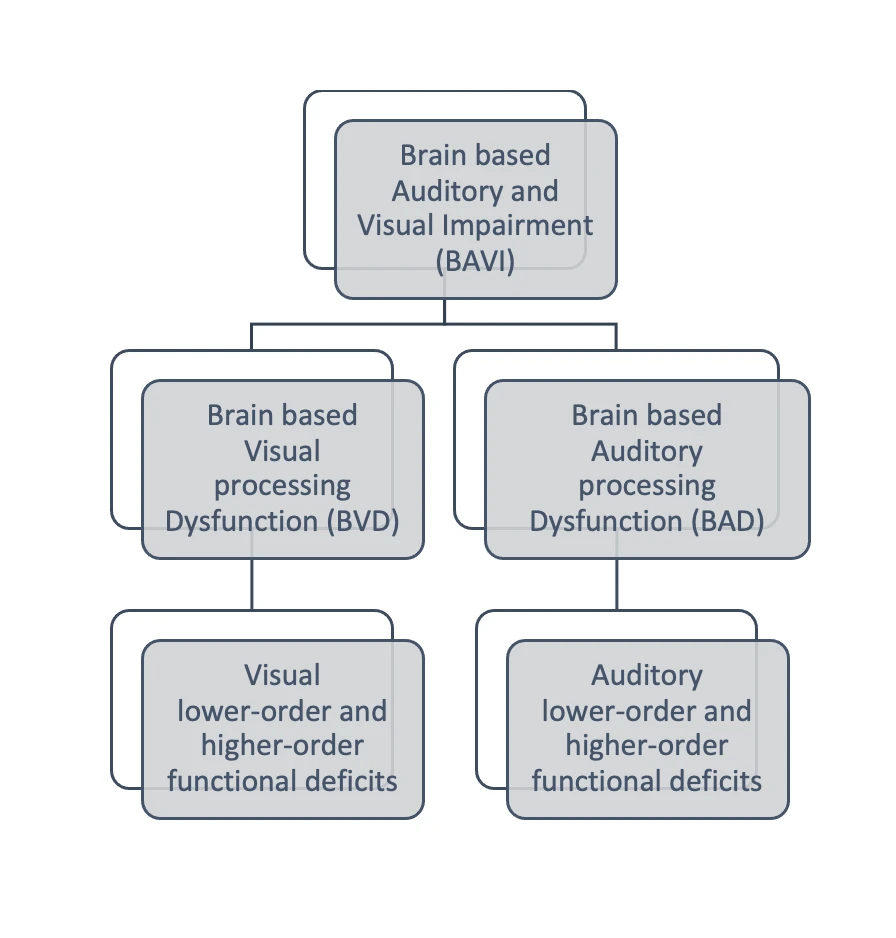Diagram showing brain-based auditory and visual impairment (BAVI), divided into brain-based visual processing dysfunction (BVD) and brain-based auditory processing dysfunction (BAD), each associated with lower- and higher-order functional deficits.