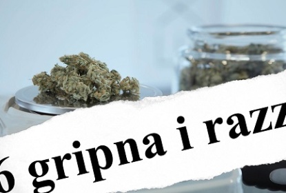 cannabis%20medier