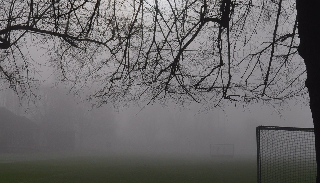 Svart vit foto av en dimmig park med några träd.