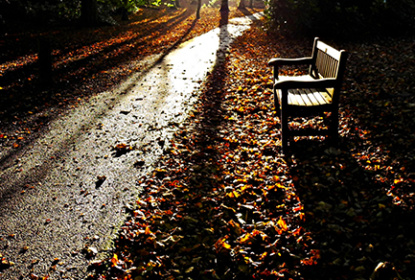 2409221-this-is-a-picture-from-outside-the-city-of-oslo%20webb