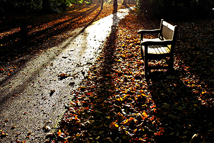 2409221-this-is-a-picture-from-outside-the-city-of-oslo%20webb