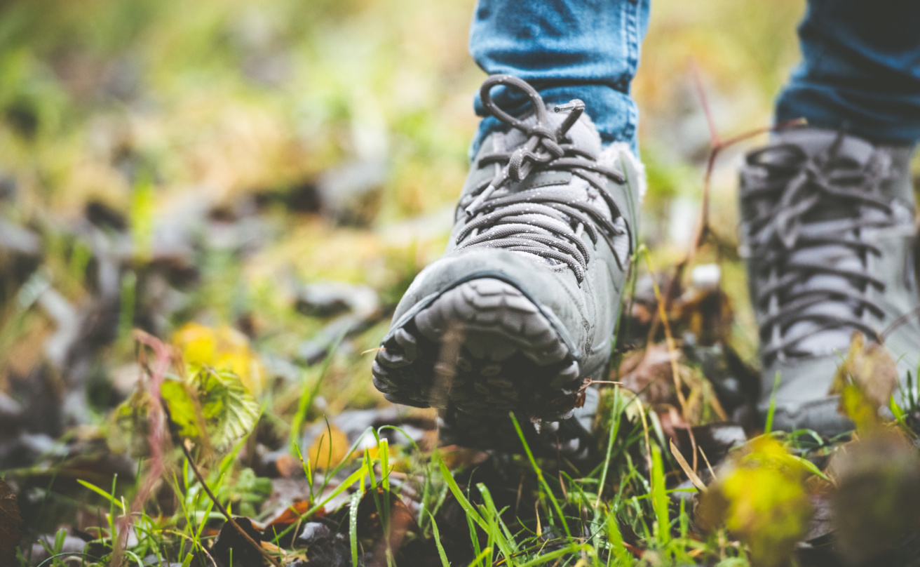 shoes in a forest