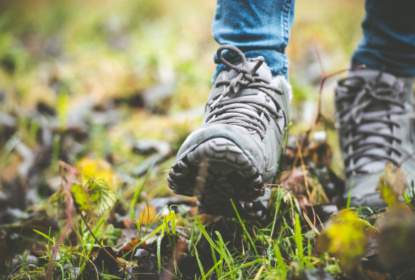 shoes in a forest
