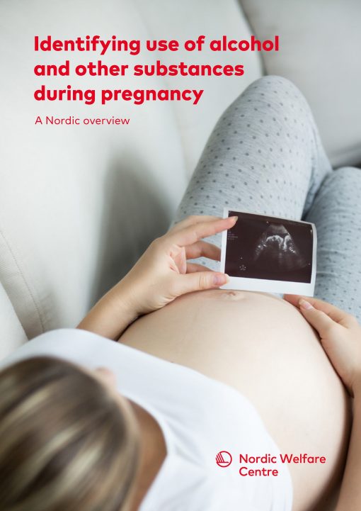 An Overview of Pregnancy