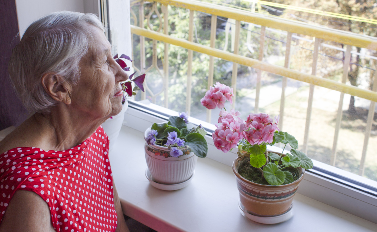 Äldre gråhårig kvinna med röd blus sitter vid fönstret och tittar ut