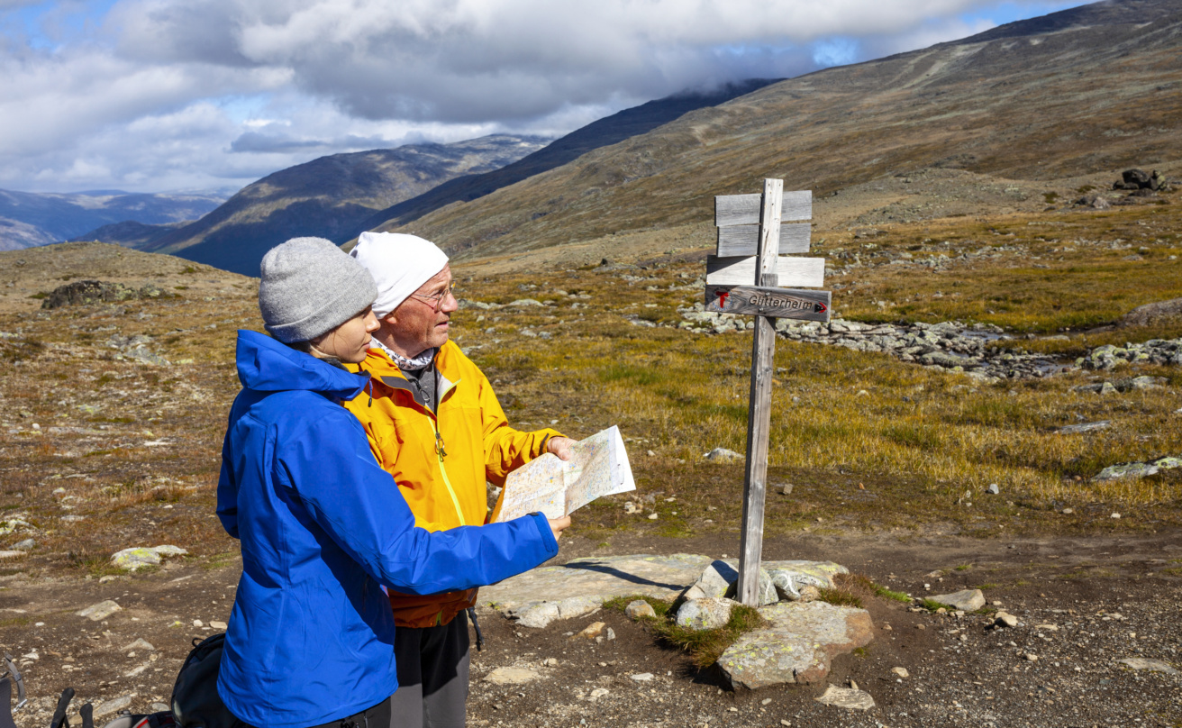 par på fjällen som blickar framåt