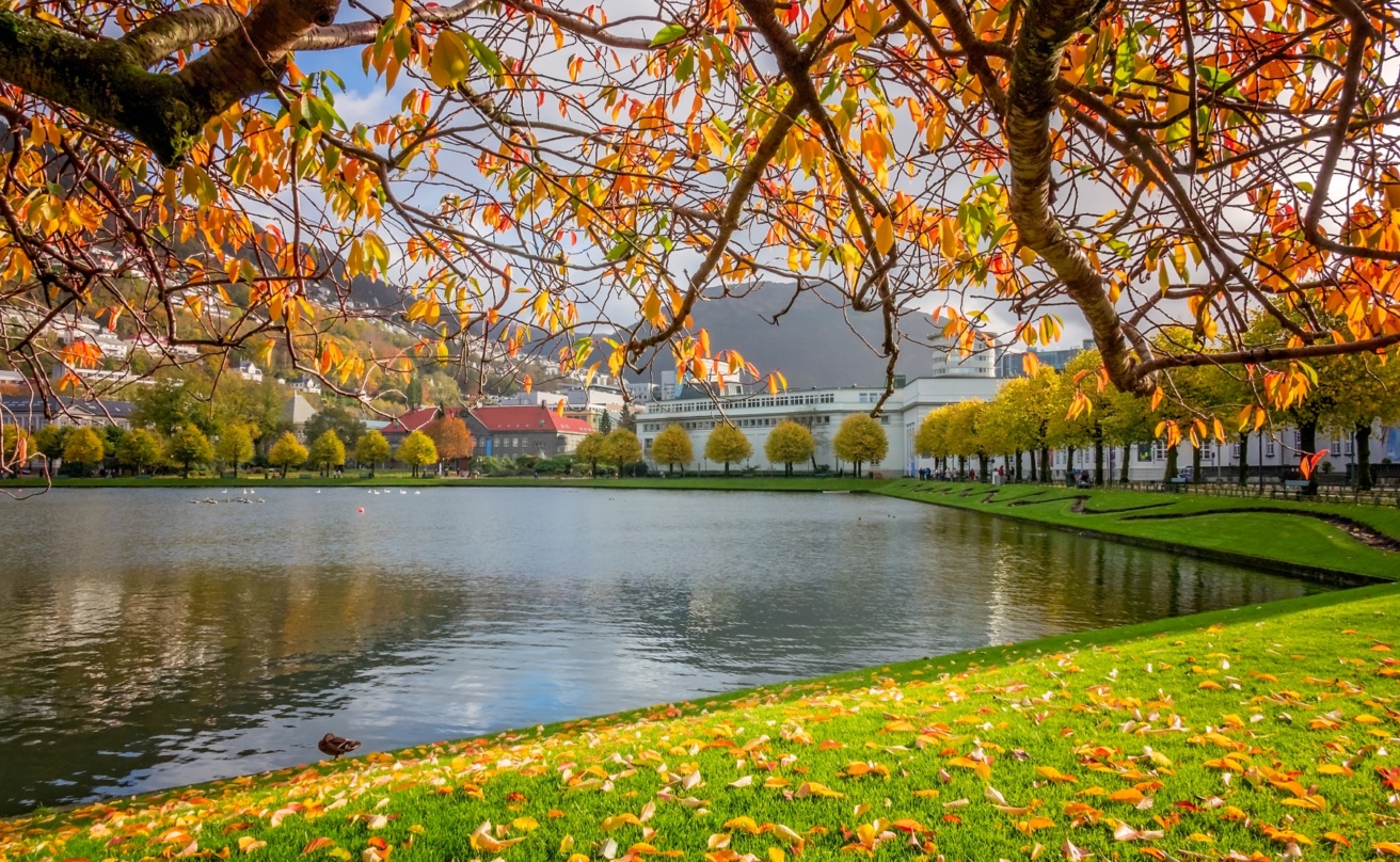23506571-lille-lungegardsvannet-lake-in-bergen-in-autumn