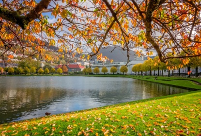 23506571-lille-lungegardsvannet-lake-in-bergen-in-autumn