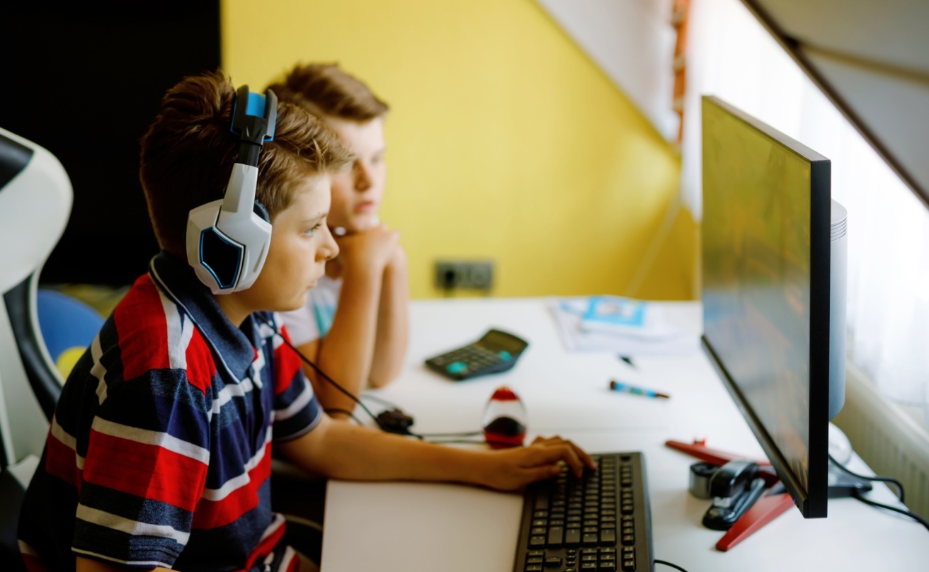 Two boys playing computer games on desktop pc