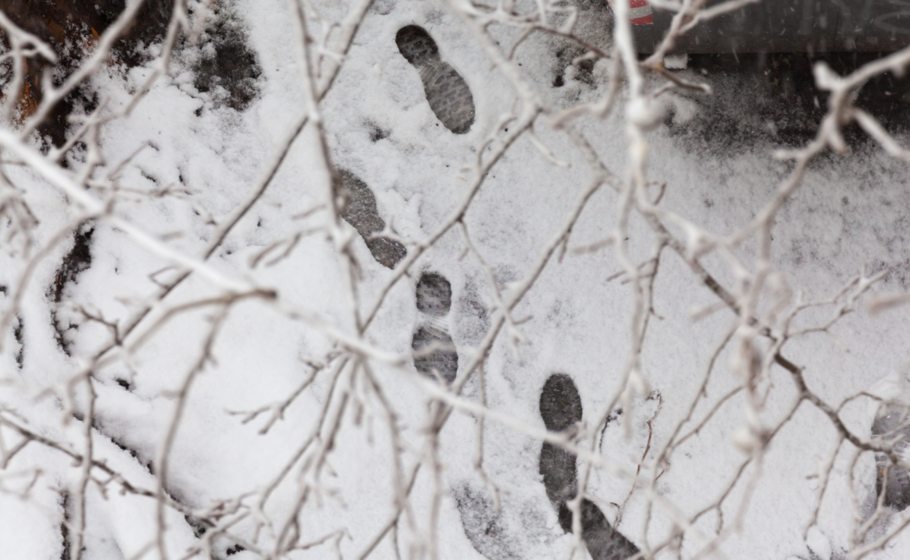 Footsteps after snowfall
