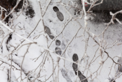 Footsteps after snowfall