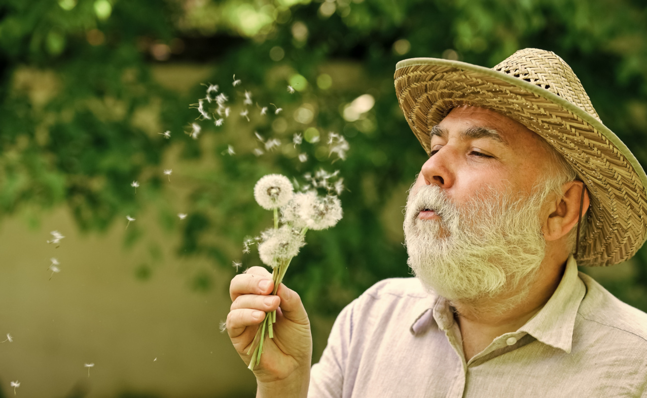 happy man blowing on a dandelion