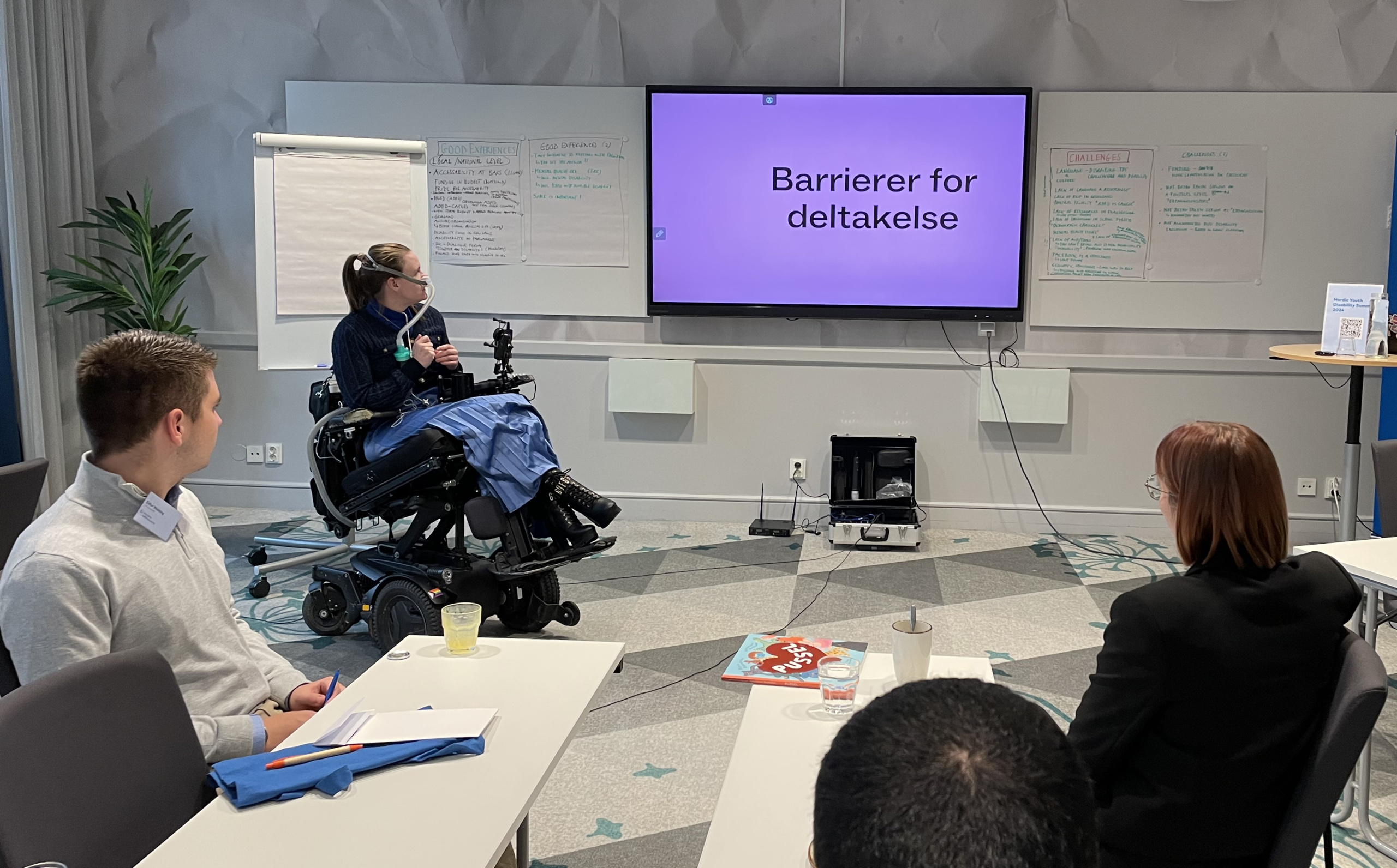Woman giving a presentation in a conference room, the text "Barrierer for deltakelse" behind her. The woman is wearing a long light blue skirt and is sitting in a wheelchair.