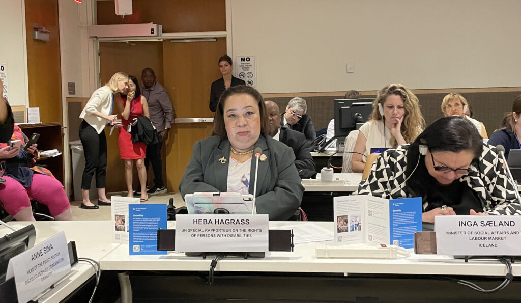 Heba Hagrass speaking in a conference room