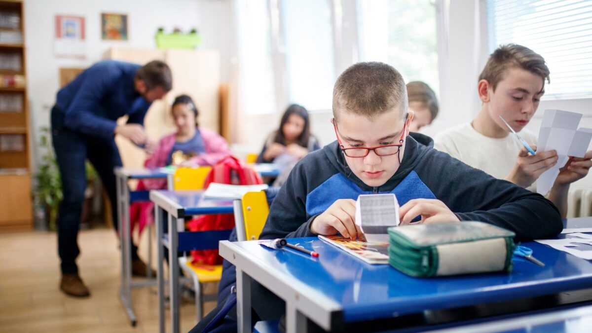 Inclusive education for children and young people with disabilities in ...