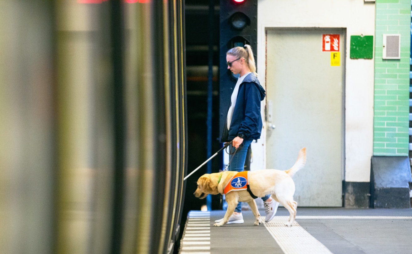 Synskadad kvinna med vit käpp och ledarhund stiger in i tunnelbanevagn