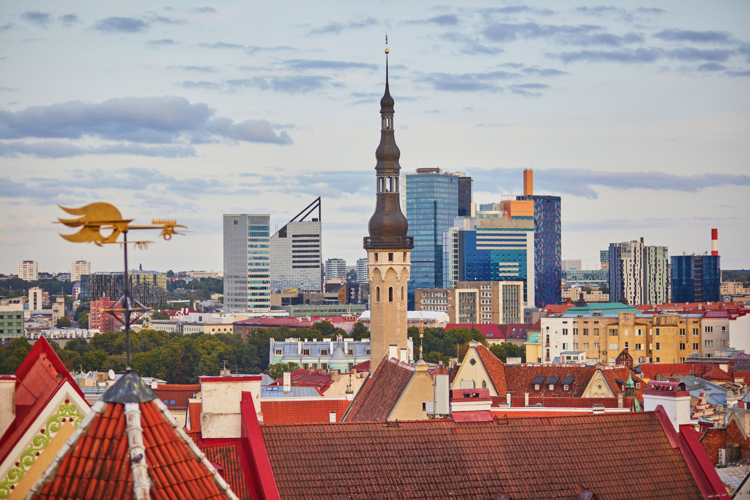 Tallinn