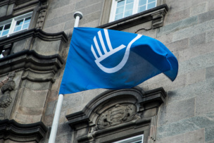 Flagga med Nordens logo