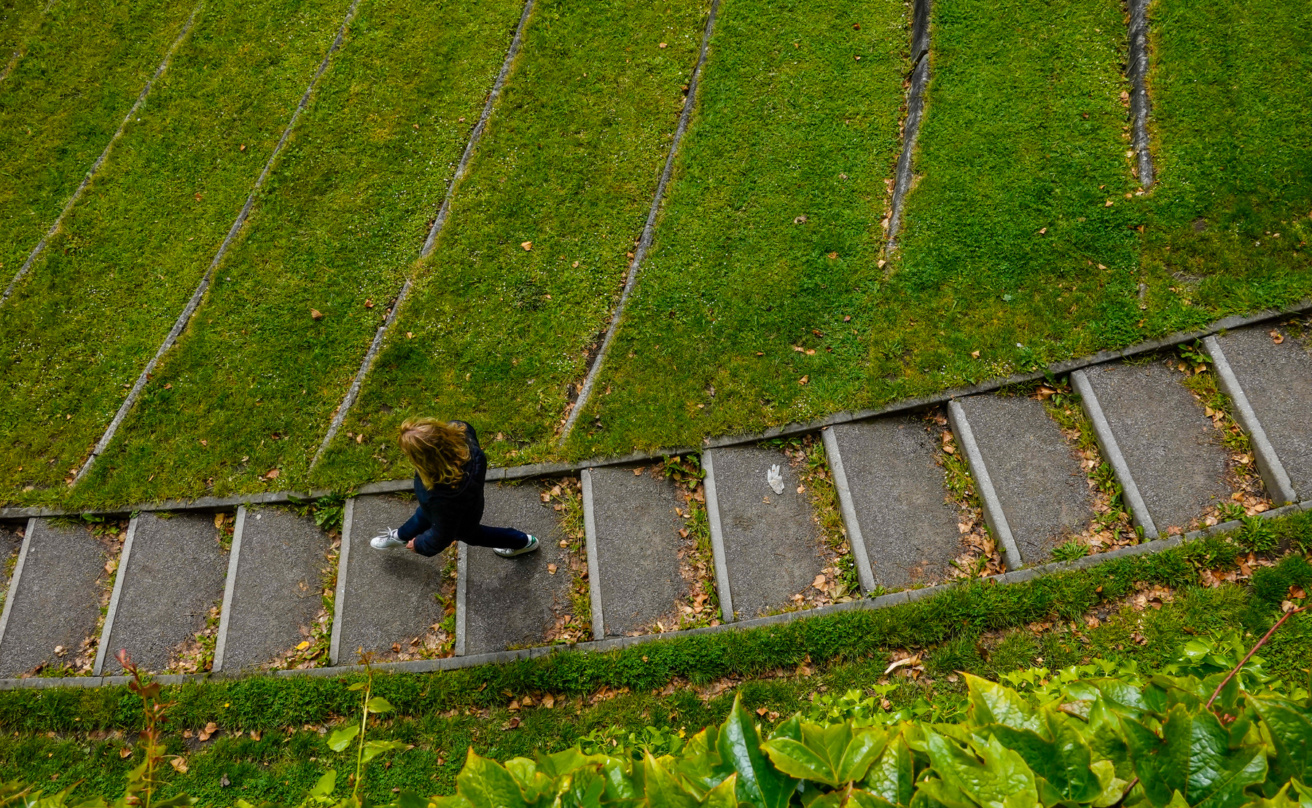 green steps at Århus University Park